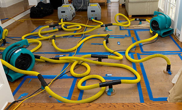 Professional Storm Water Damage Restoration technician working in Georgetown, IN